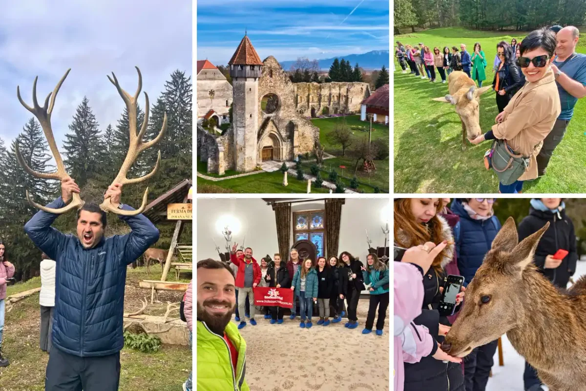 Afiș pentru Excursie la Ferma de Cerbi, Cetatea Făgăraș și Abatia Cârța