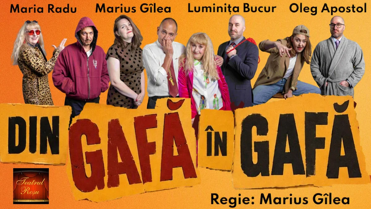 Afiș pentru Din gafă în gafă